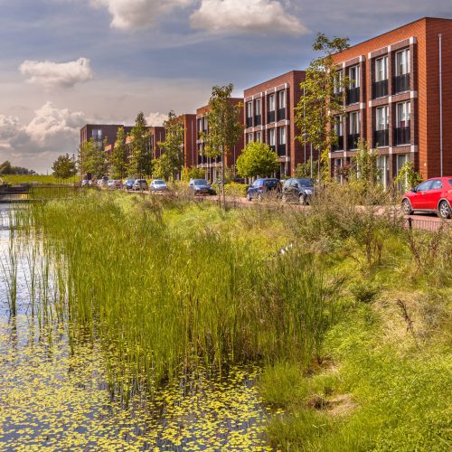 urban-street-with-ecological-river-bank-2025-03-23-22-44-54-utc-scaled